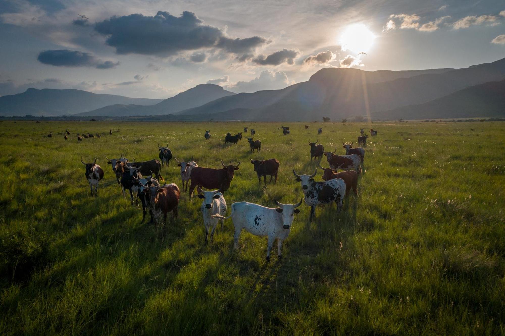 Вилла The Cowshed Машишинг Экстерьер фото